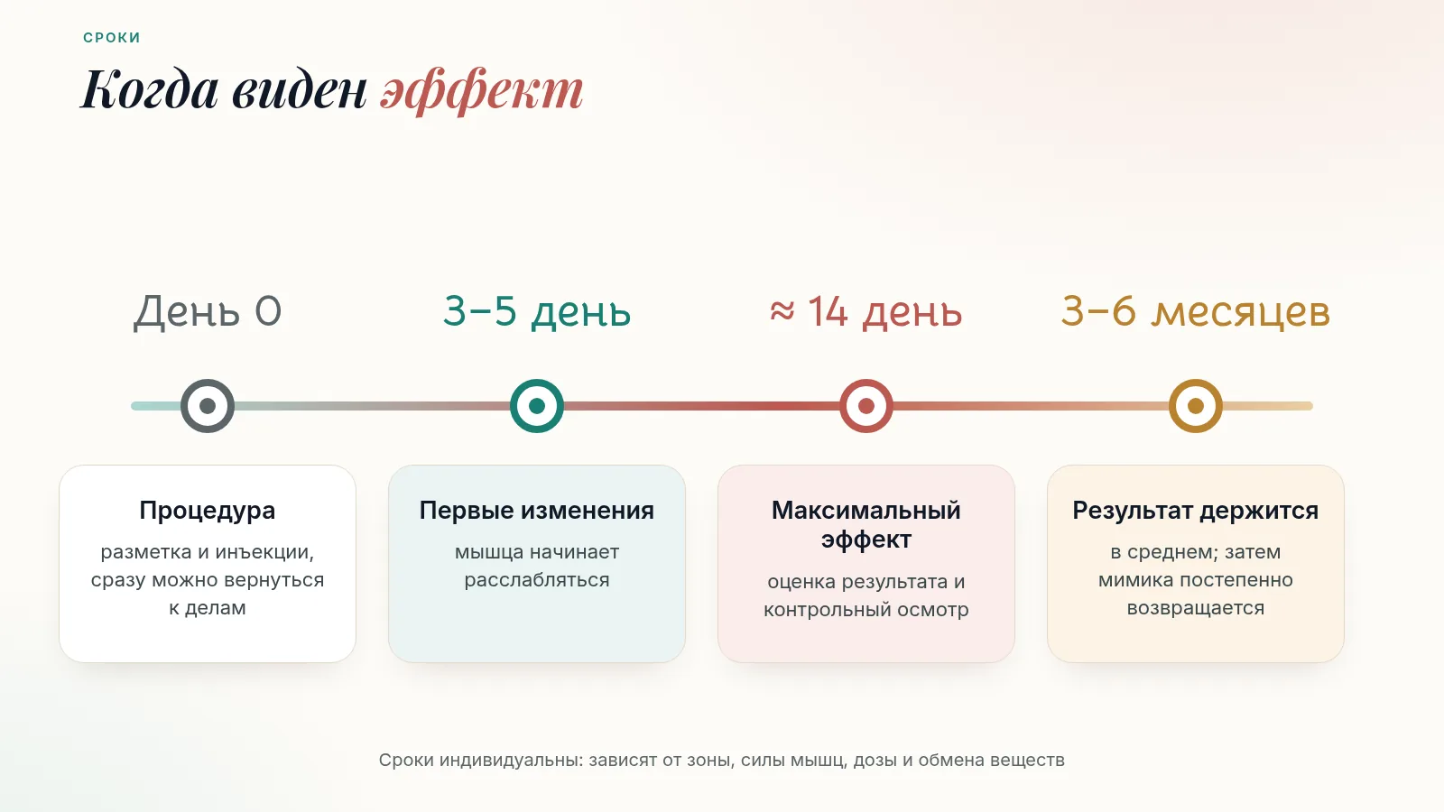 Таймлайн эффекта ботулотоксина: день 0 — процедура, 3–5 день — первые изменения, около 14 дня — максимальный эффект и контрольный осмотр, 3–6 месяцев — результат сохраняется