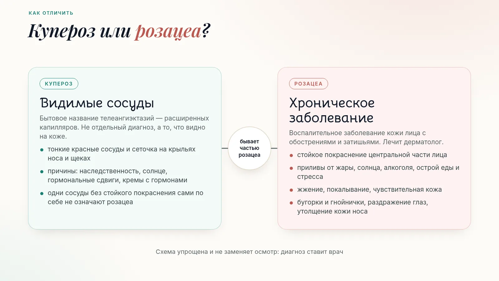 Схема «Купероз или розацеа»: купероз — видимые расширенные сосуды, не отдельный диагноз; розацеа — хроническое заболевание со стойким покраснением, приливами, жжением, бугорками и гнойничками; сосудистая сетка бывает частью розацеа