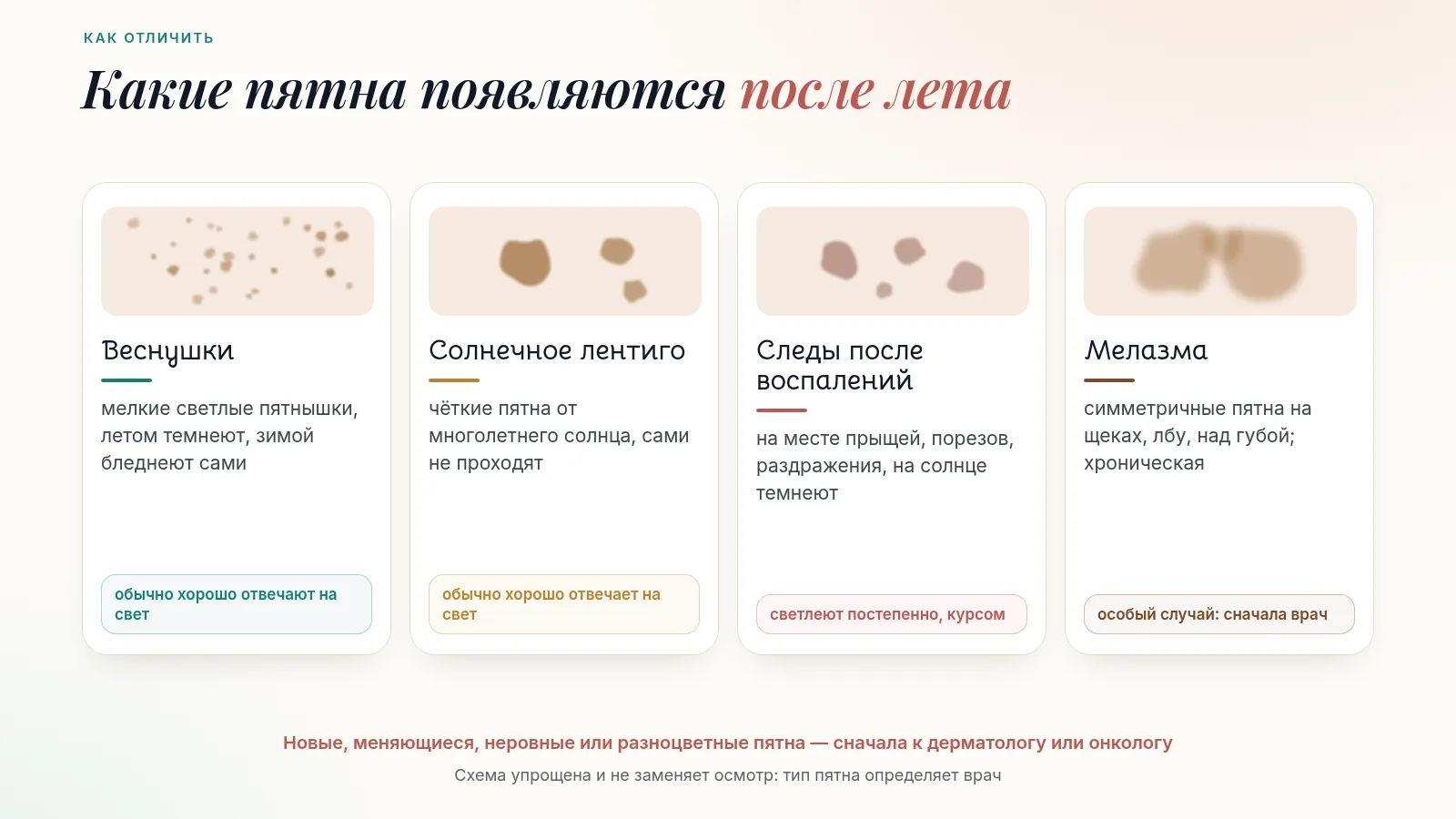 Схема «Какие пятна появляются после лета»: веснушки — бледнеют зимой; солнечное лентиго — чёткие пятна от многолетнего солнца, сами не проходят; следы после воспалений и акне — светлеют постепенно; мелазма — симметричные пятна, хроническая, склонна к рецидивам. Внизу: новые и меняющиеся пятна — сначала к дерматологу или онкологу